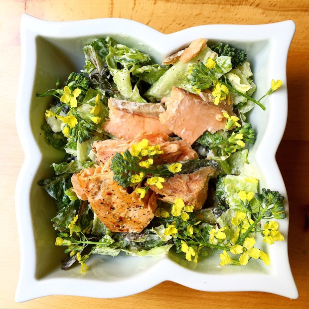 Caesar Salad with salmon and broccoli florets 