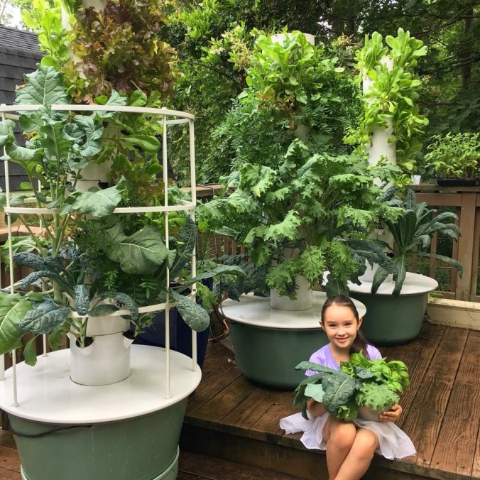 First Tower Garden Harvest